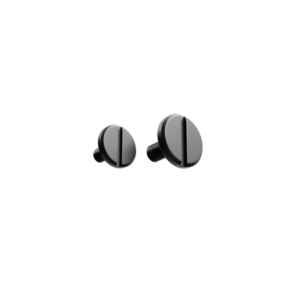 Visor Screw Black Matt
