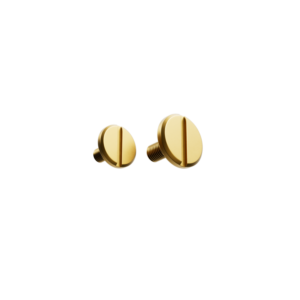 Visor Screw Gold