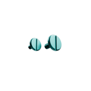 Visor Screw Blue