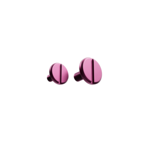 Visor Screw Purple